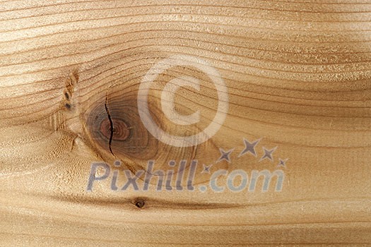 Closeup of red cedar plank showing knot texture and natural woodgrain pattern as wood background Closeup of red cedar plank showing knot texture and natural woodgrain pattern as wood background