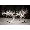 Macro closeup of dandelion seeds standing up on gray and black background