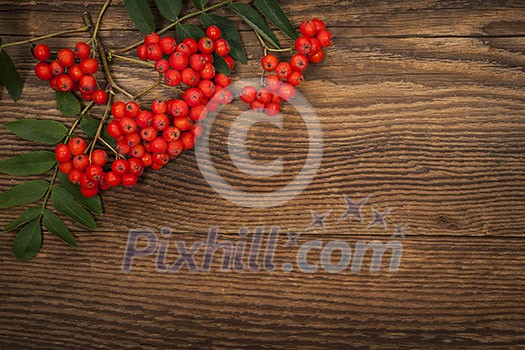 Red mountain ash or rowan berries on rustic wooden background Red mountain ash or rowan berries on rustic wooden background