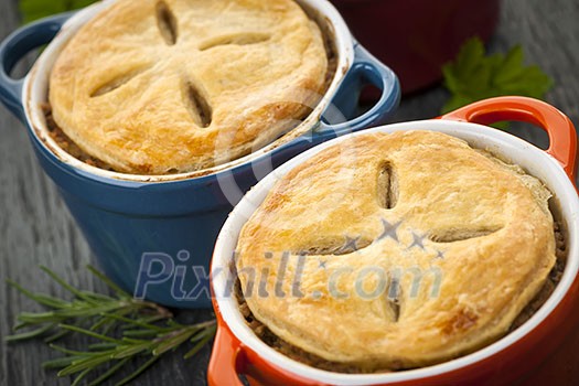 Closeup of two homemade gourmet meat pies Closeup of two homemade gourmet meat pies