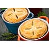 Closeup of two  homemade gourmet meat pies
