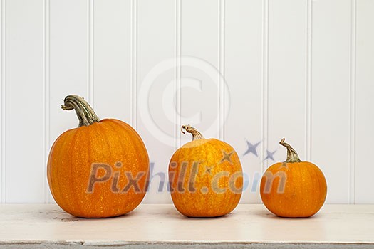 Three pumpkins of various sizes sitting in a row on white wooden background Three pumpkins of various sizes sitting in a row on white wooden background