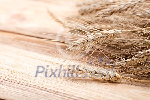 wheat on wooden background wheat on wooden background