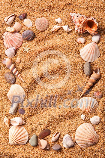 background of various shells on sand. Top view background of various shells on sand. Top view