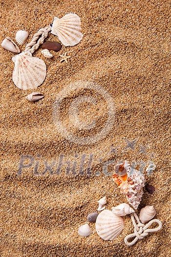 background of various shells on sand. Top view background of various shells on sand. Top view