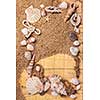 background of various shells on sand and old map. Top view