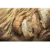 Bread and wheat on wooden table, shallow DOF, raw image