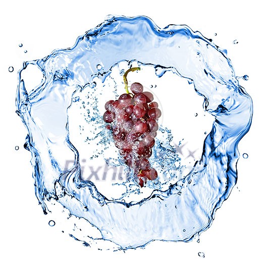 blue grape with water splash isolated on white blue grape with water splash isolated on white