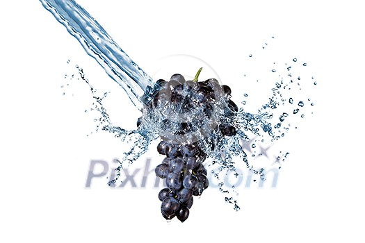 blue grape with water splash isolated on white blue grape with water splash isolated on white