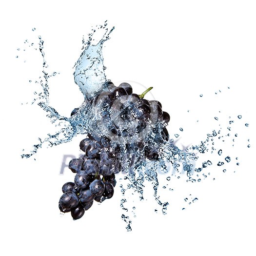 blue grape with water splash isolated on white blue grape with water splash isolated on white