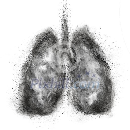 Lungs made of black powder explosion isolated on white background Lungs made of black powder explosion isolated on white background