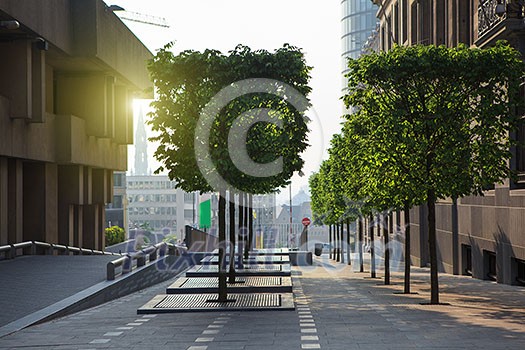 Brussels city center street on sunset , Belgium Brussels city center street on sunset , Belgium