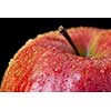 red apple isolated on black