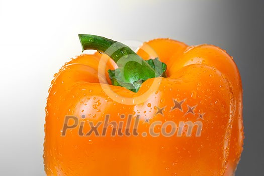 Yellow pepper on white Yellow pepper on white