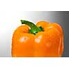 Yellow pepper on white