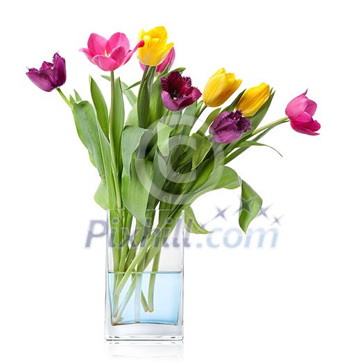 bouquet from tulips in glass vase isolated on white bouquet from tulips in glass vase isolated on white