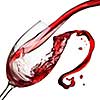 Splash of wine isolated on white