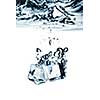 ice cubes dropped into water with splash isolated on white