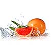 Water splash on grapefruit with mint isolated on white