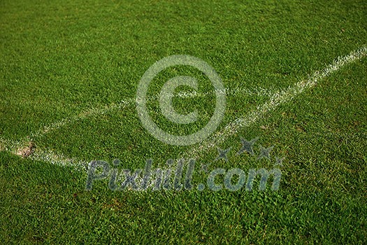 Corner of the soccer field green grass background Corner of the soccer field green grass background