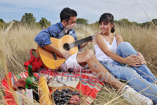happy young couple enjoying picnic on the countryside in the field and have good time happy young couple enjoying picnic on the countryside in the field and have good time