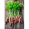 Bunch of orange carrots fresh from garden with dirt on old rustic wood background