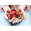 Closeup of female hands holding freshly picked strawberries