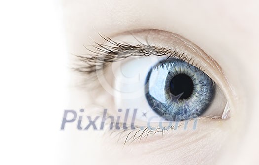Female blue eye looking at camera close up Female blue eye looking at camera close up