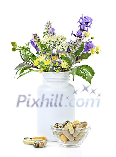 Herb plants with mix of alternative medicine herbal supplements and pills Herb plants with mix of alternative medicine herbal supplements and pills