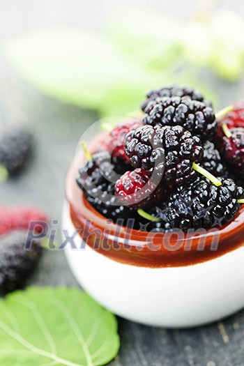 Ripe mulberry berries in a bowl, freshly picked Ripe mulberry berries in a bowl, freshly picked