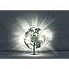 Green tree as a symbol of environmental protection