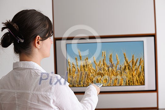 happy young woman watching tv at modern home livingroom happy young woman watching tv at modern home livingroom