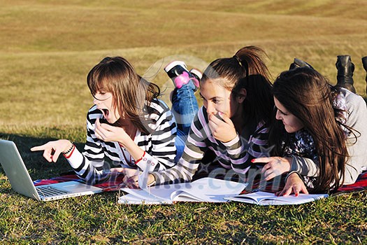 group of teen girl woman outdoor have fun and study homework on laptop computer group of teen girl woman outdoor have fun and study homework on laptop computer
