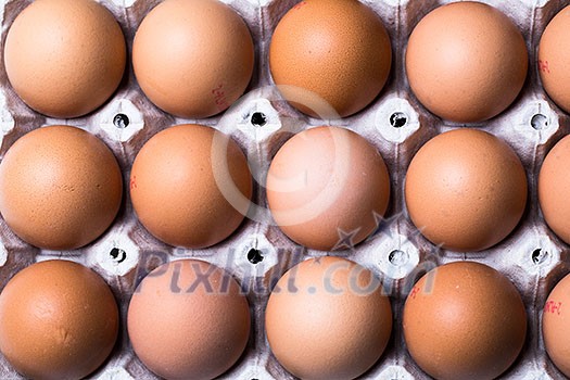 Eggs on white background Eggs on white background