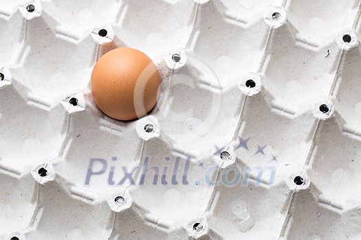 Eggs on white background Eggs on white background