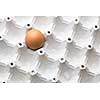 Eggs on white background
