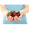 Two hands holding bunch of fresh cherries