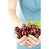 Two hands holding bunch of fresh cherries