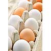 Closeup of white and brown eggs in carton