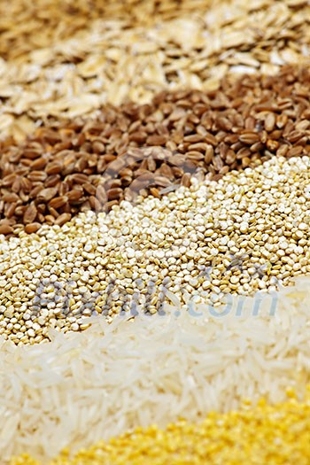 Background of different kinds of grains close up Background of different kinds of grains close up