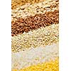 Background of different kinds of grains close up