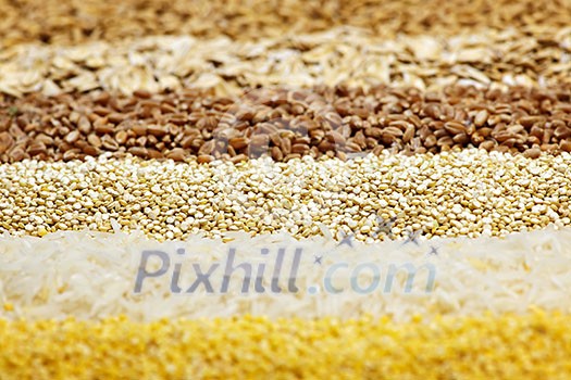 Background of different kinds of grains close up Background of different kinds of grains close up