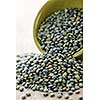 Bowl full of raw french green lentils
