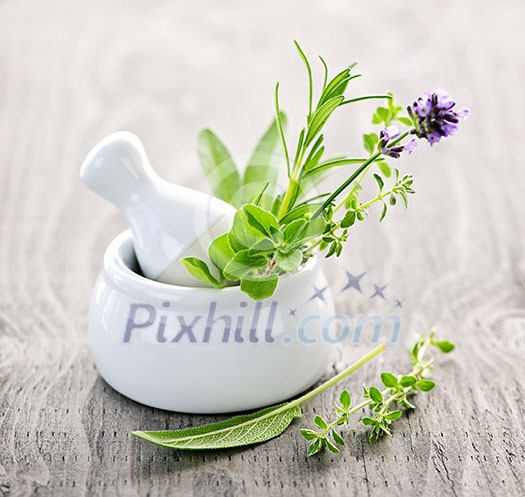 Healing herbs in white ceramic mortar and pestle Healing herbs in white ceramic mortar and pestle