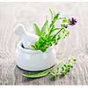 Healing herbs in white ceramic mortar and pestle