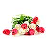 Bouquet of red and white tulips isolated on white background