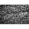 Macro closeup of dew drops on leaf in black and white