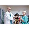 portrait of a veterinarian and assistant in a small animal clinic at work