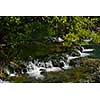 waterfall with clean and fresh water  nature with green forest in background