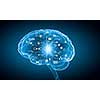 Concept of human intelligence with human brain on white digital background